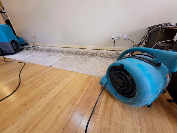 Professional Water Removal technician working in Robbins, NC